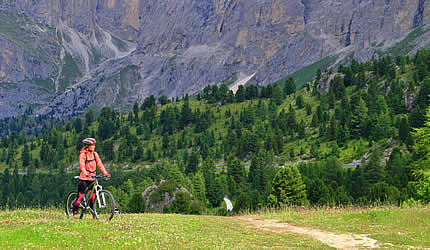 Mountain bike Alto Adige